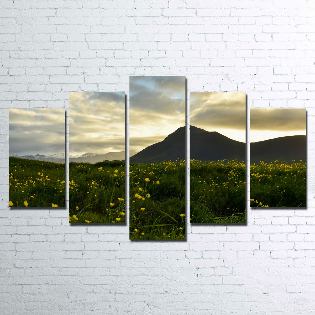 Wildflowers Wall Art