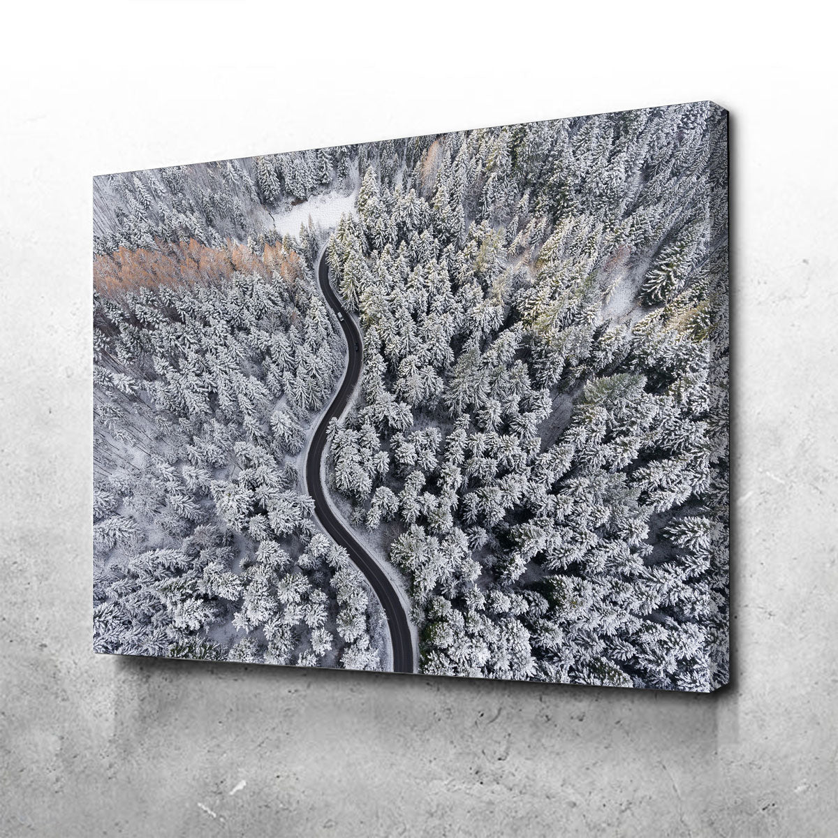 Winding Winter Wall Art
