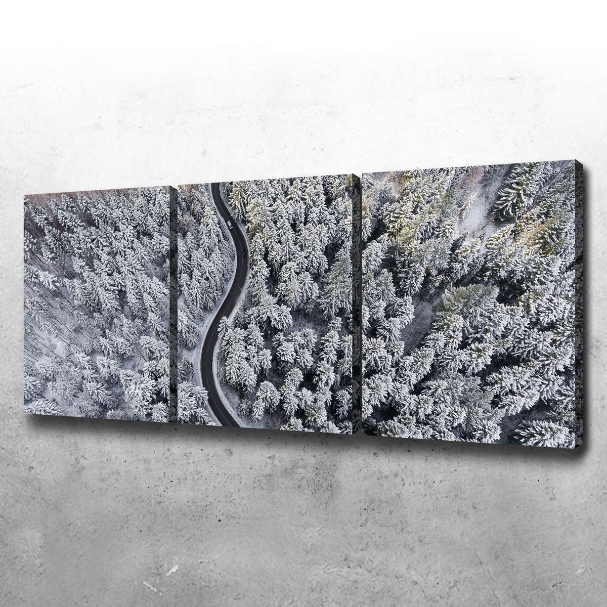 Winding Winter Wall Art