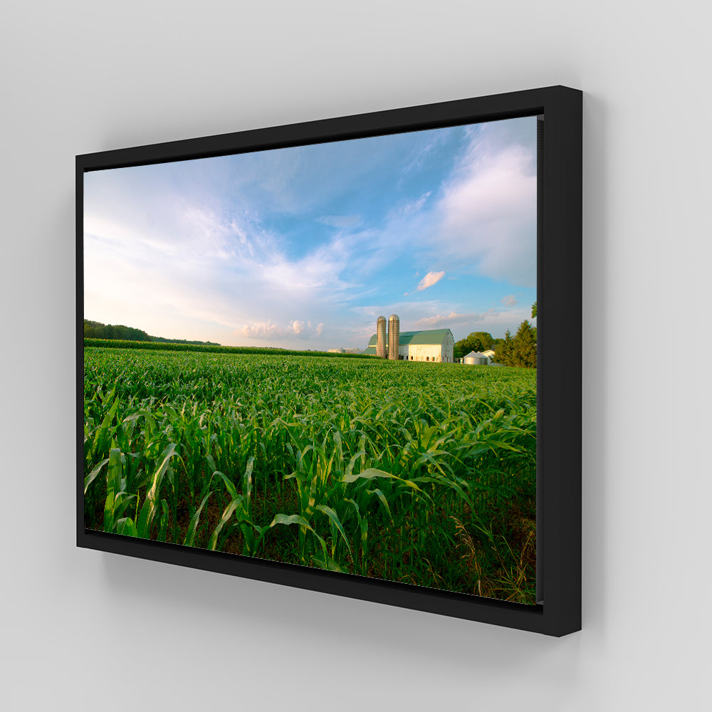 Wisconsin Dairy Farm By Field Of Corn Wall Art