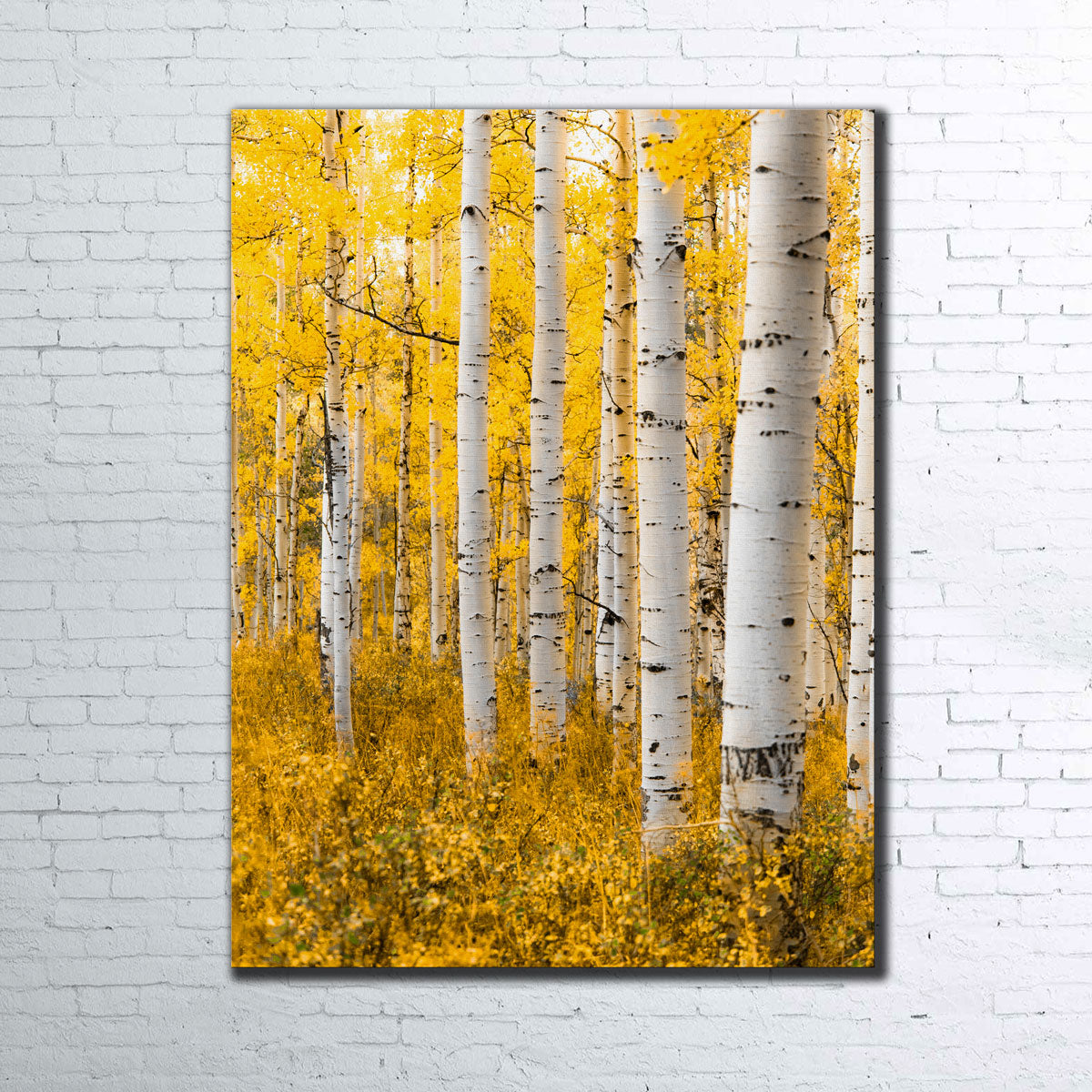 Yellow Forest Wall Art