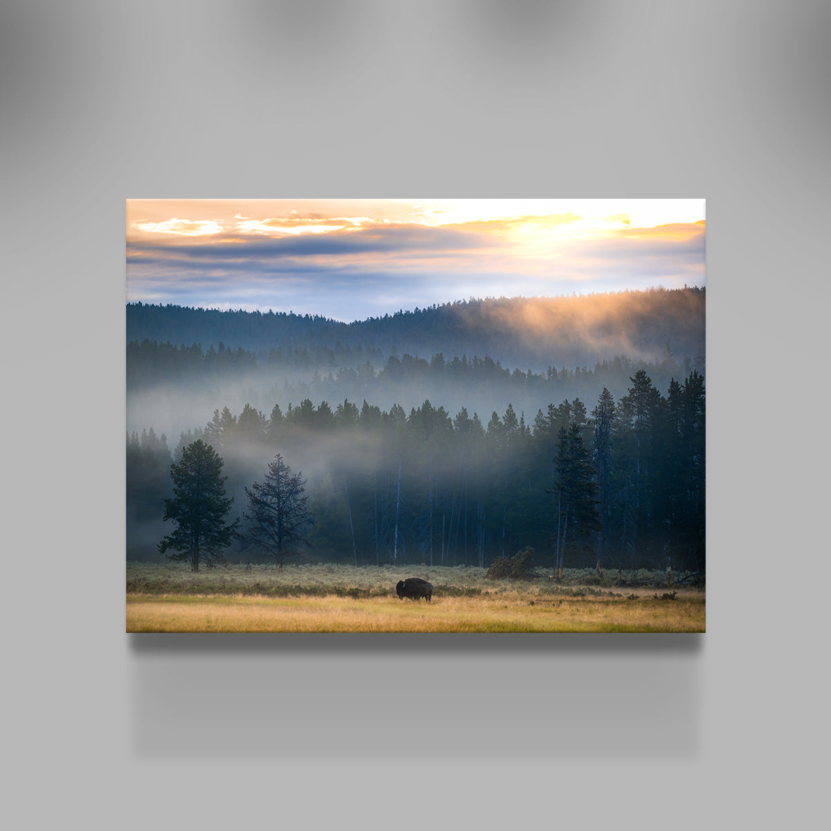 Yellowstone at Dawn Wall Art