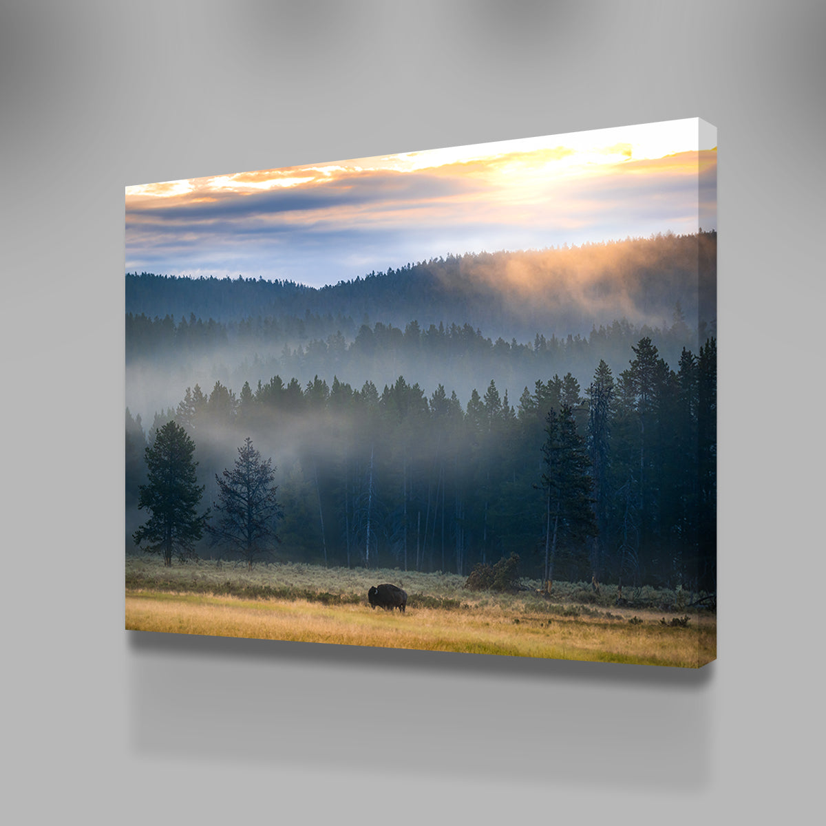 Yellowstone at Dawn Wall Art