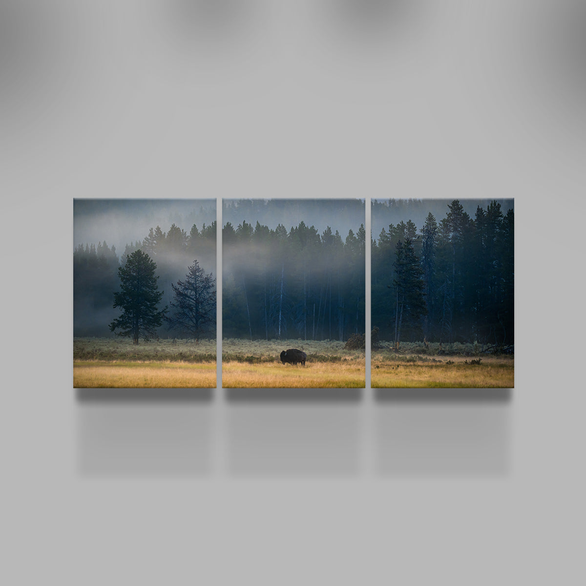 Yellowstone at Dawn Wall Art