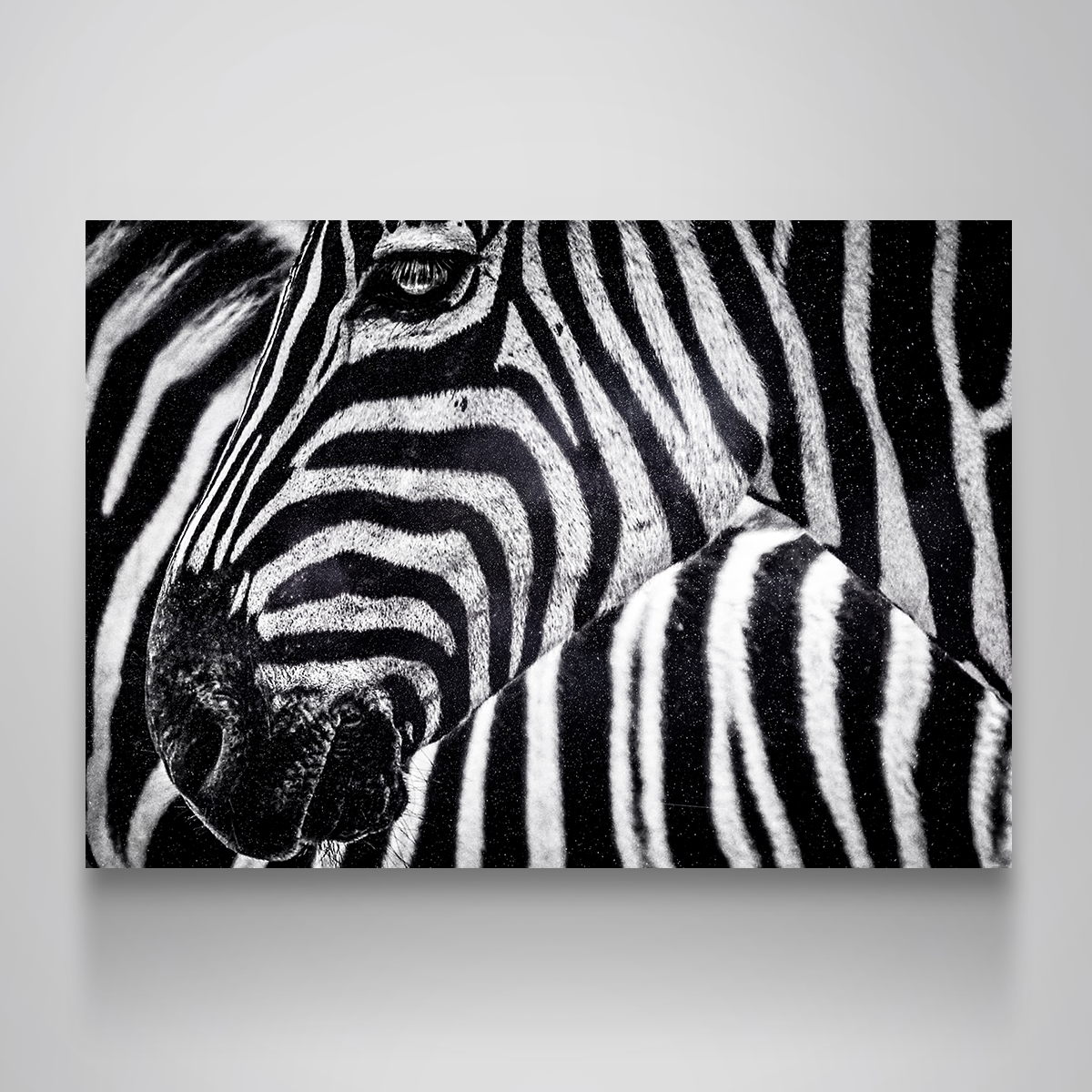 Zebra Wall Art