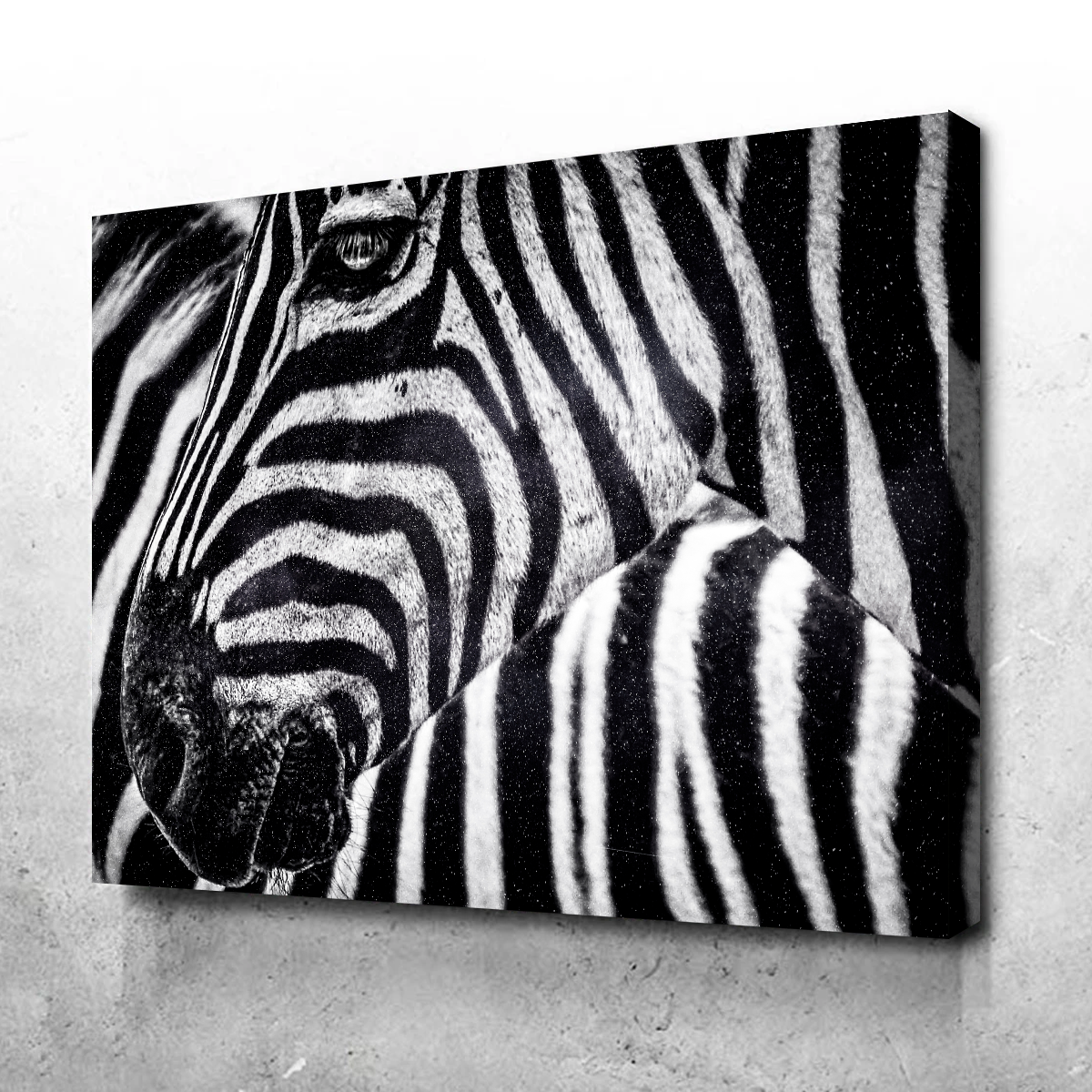 Zebra Wall Art