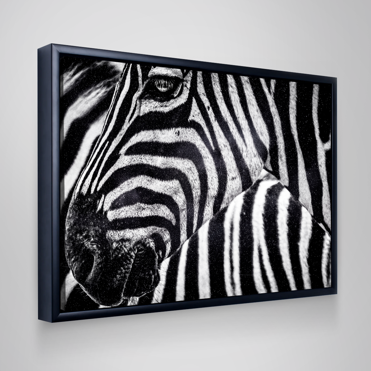 Zebra Wall Art