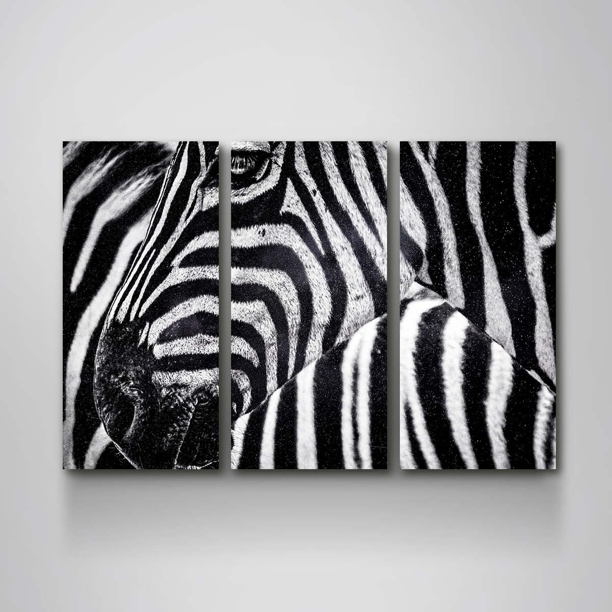 Zebra Wall Art