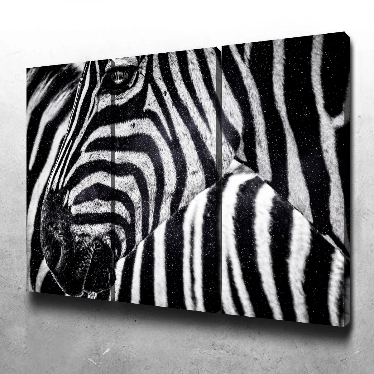 Zebra Wall Art