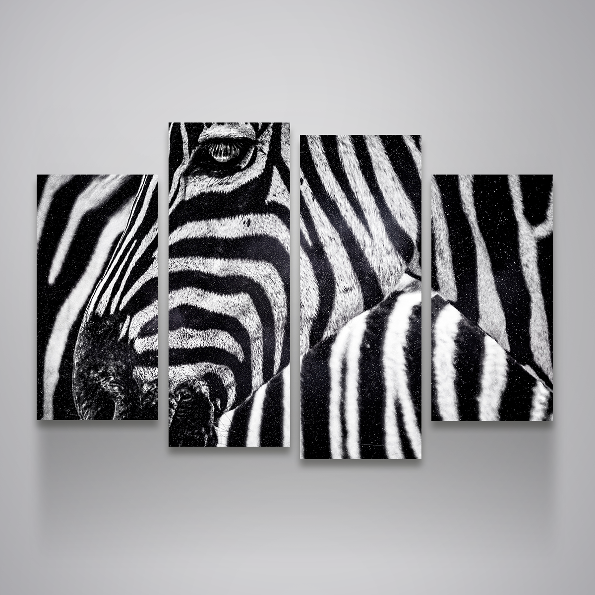 Zebra Wall Art