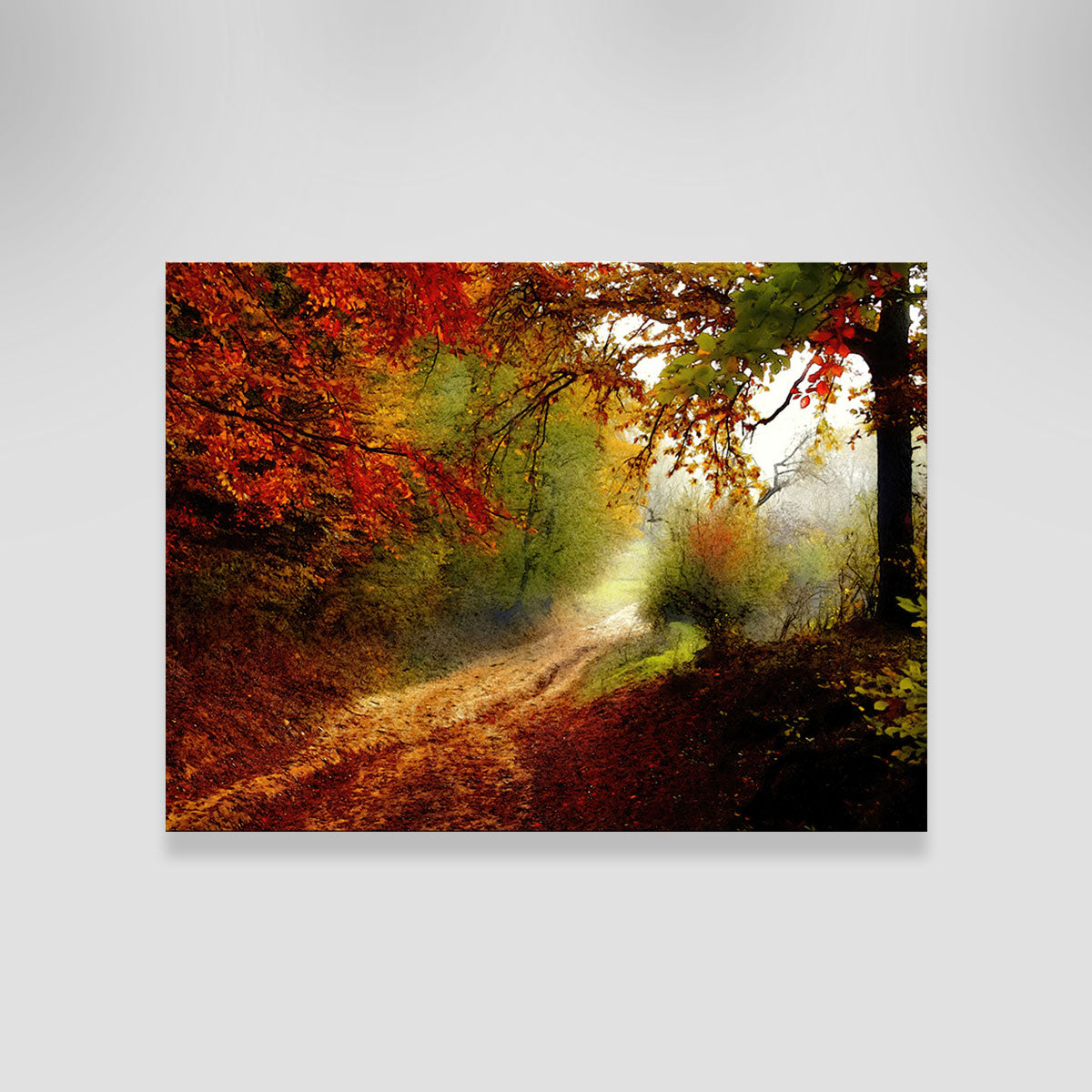 Autumn Forest Edge Wall Art