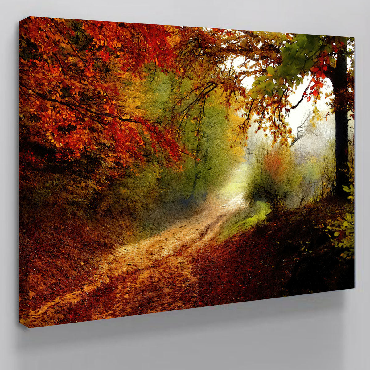 Autumn Forest Edge Wall Art
