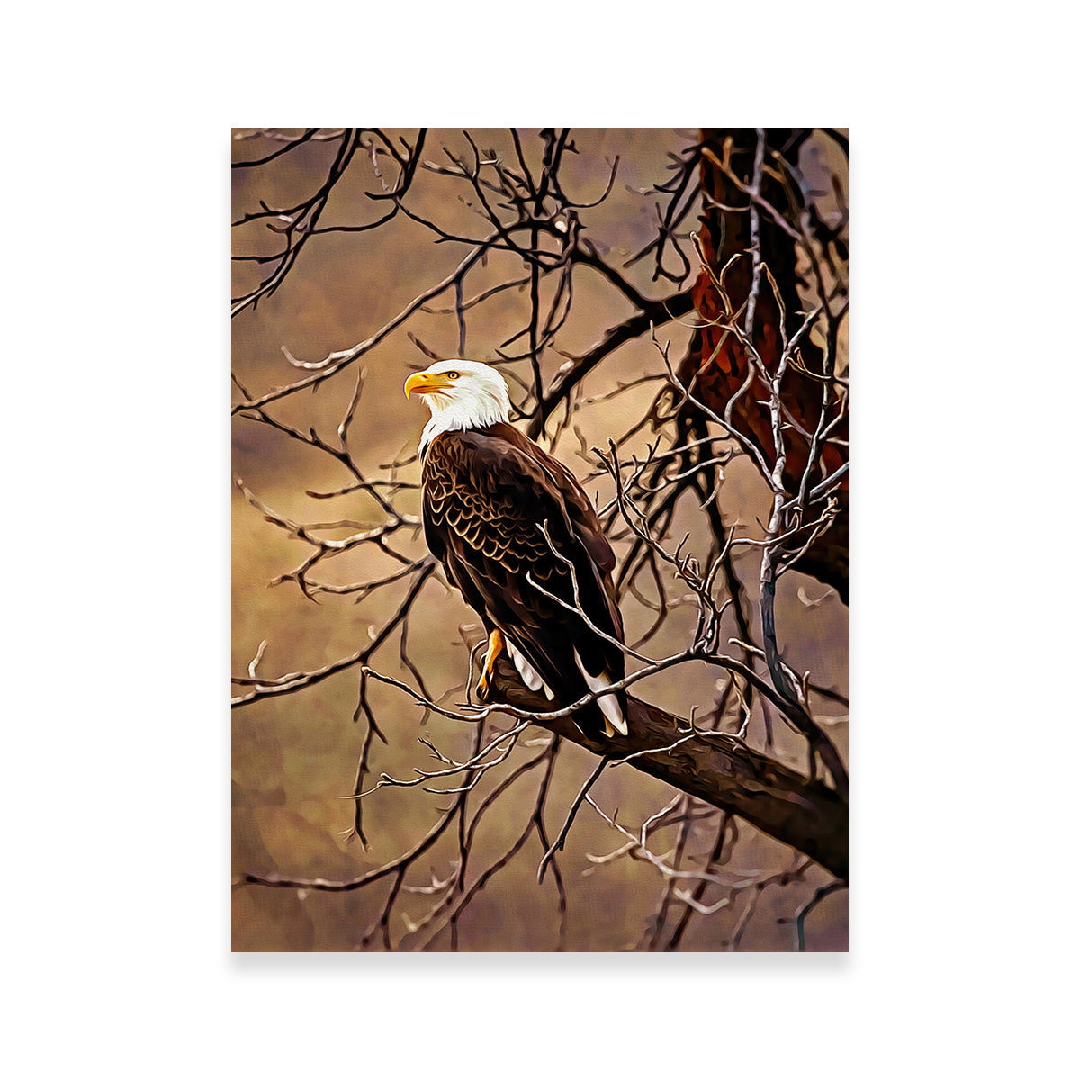 Bald Eagle Wall Art