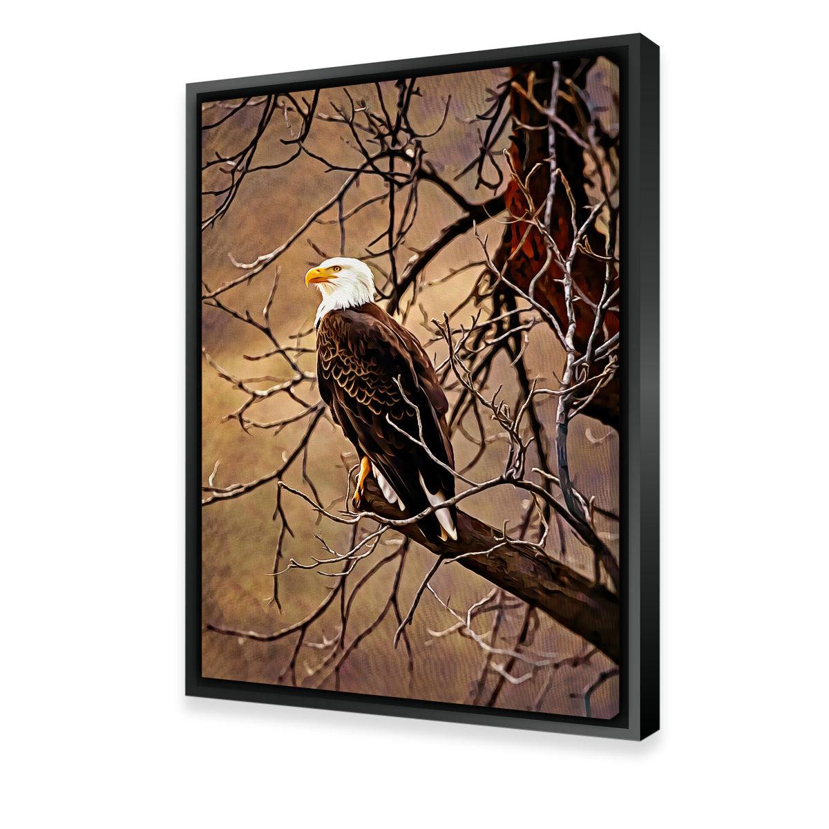 Bald Eagle Wall Art