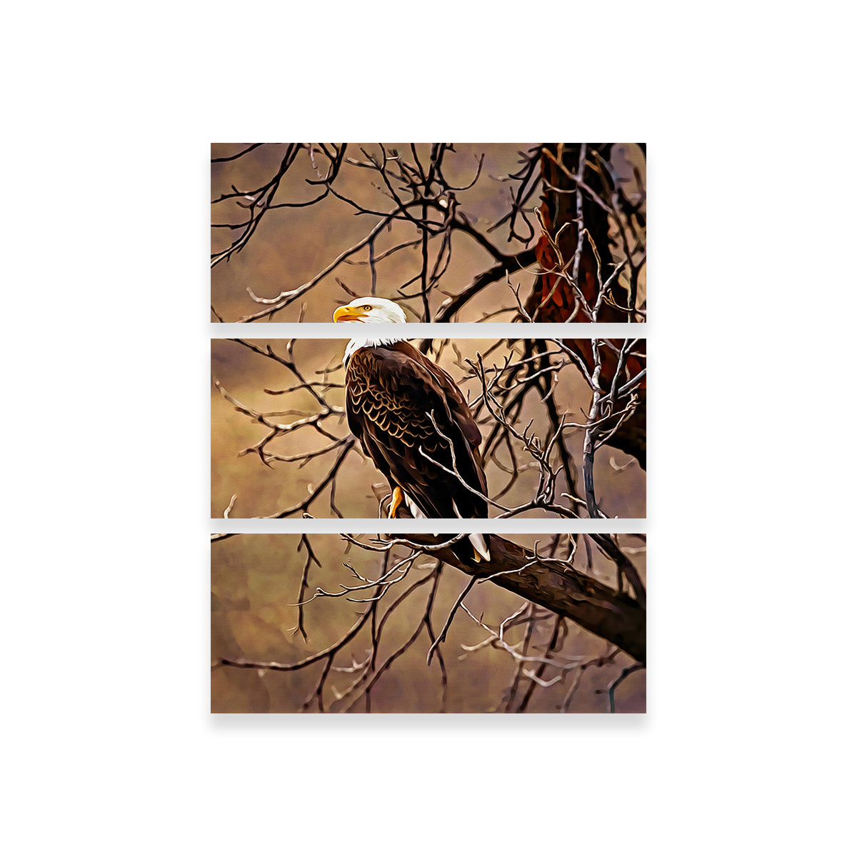 Bald Eagle Wall Art