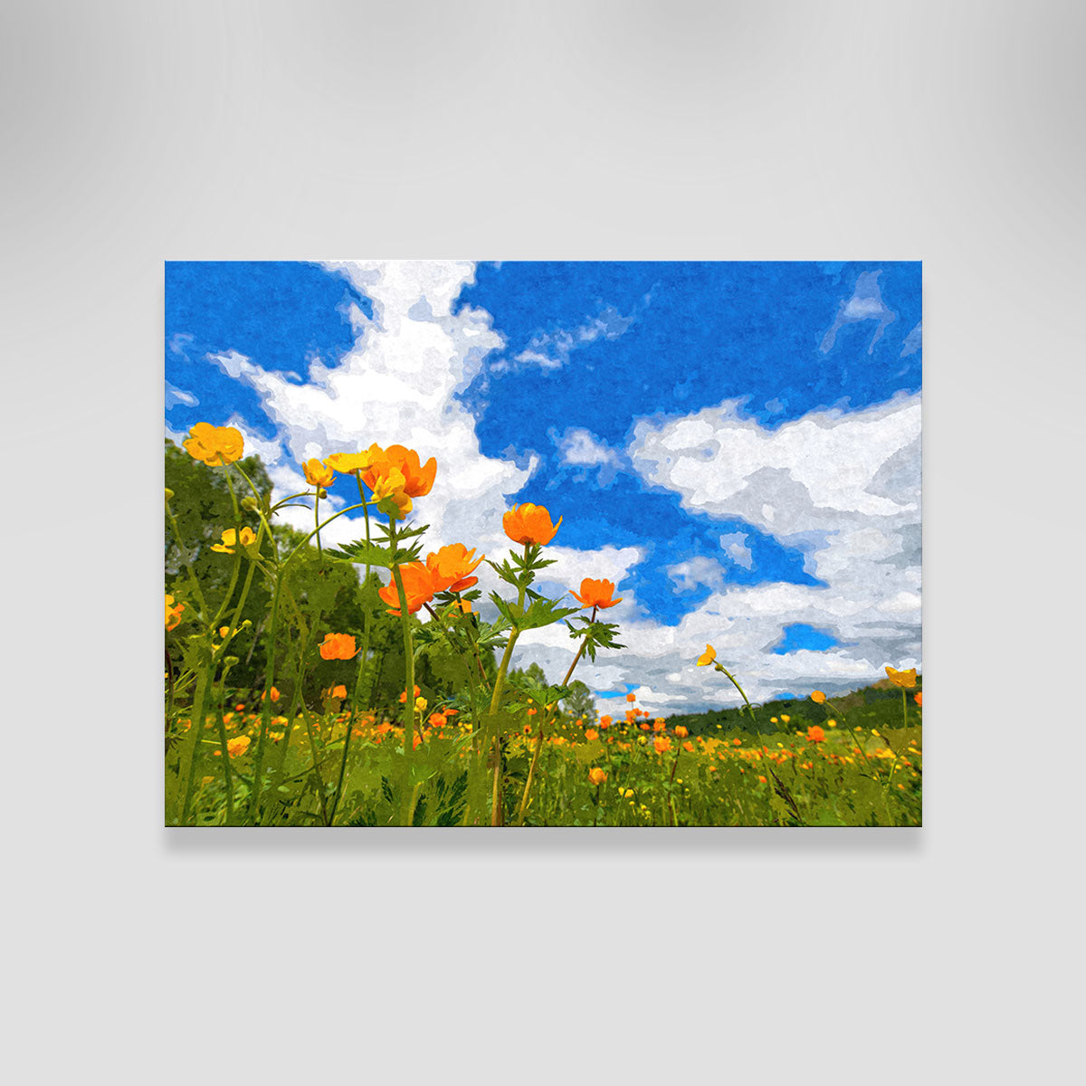 California Poppies Under The Blue Skies Wall Art