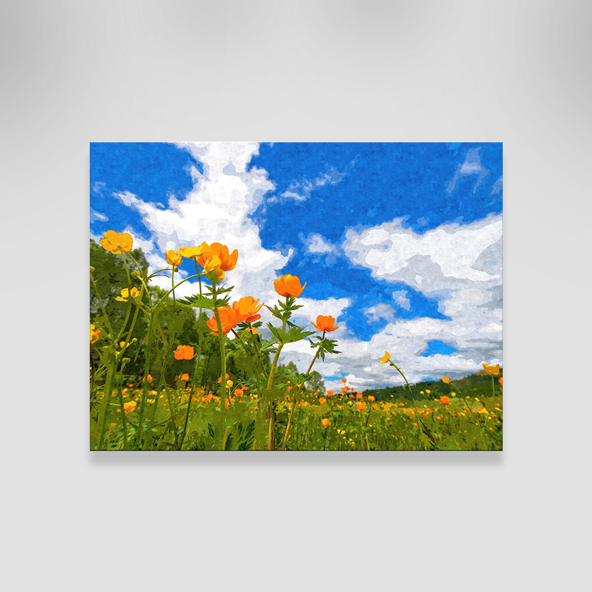 California Poppies Under The Blue Skies