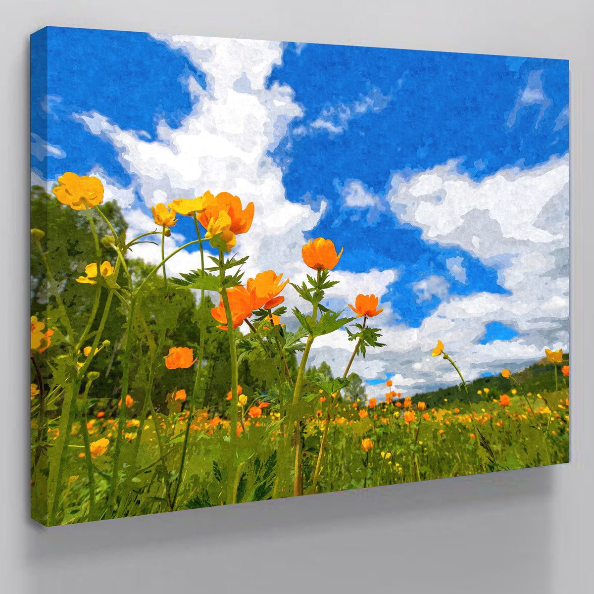 California Poppies Under The Blue Skies Wall Art