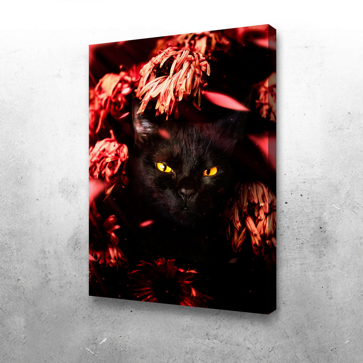 Cat Black Petals Wall Art