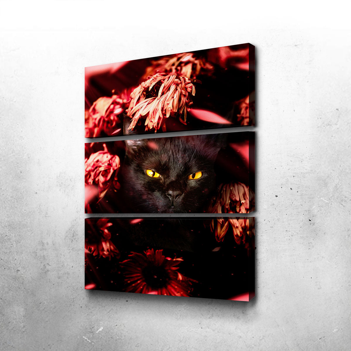 Cat Black Petals Wall Art