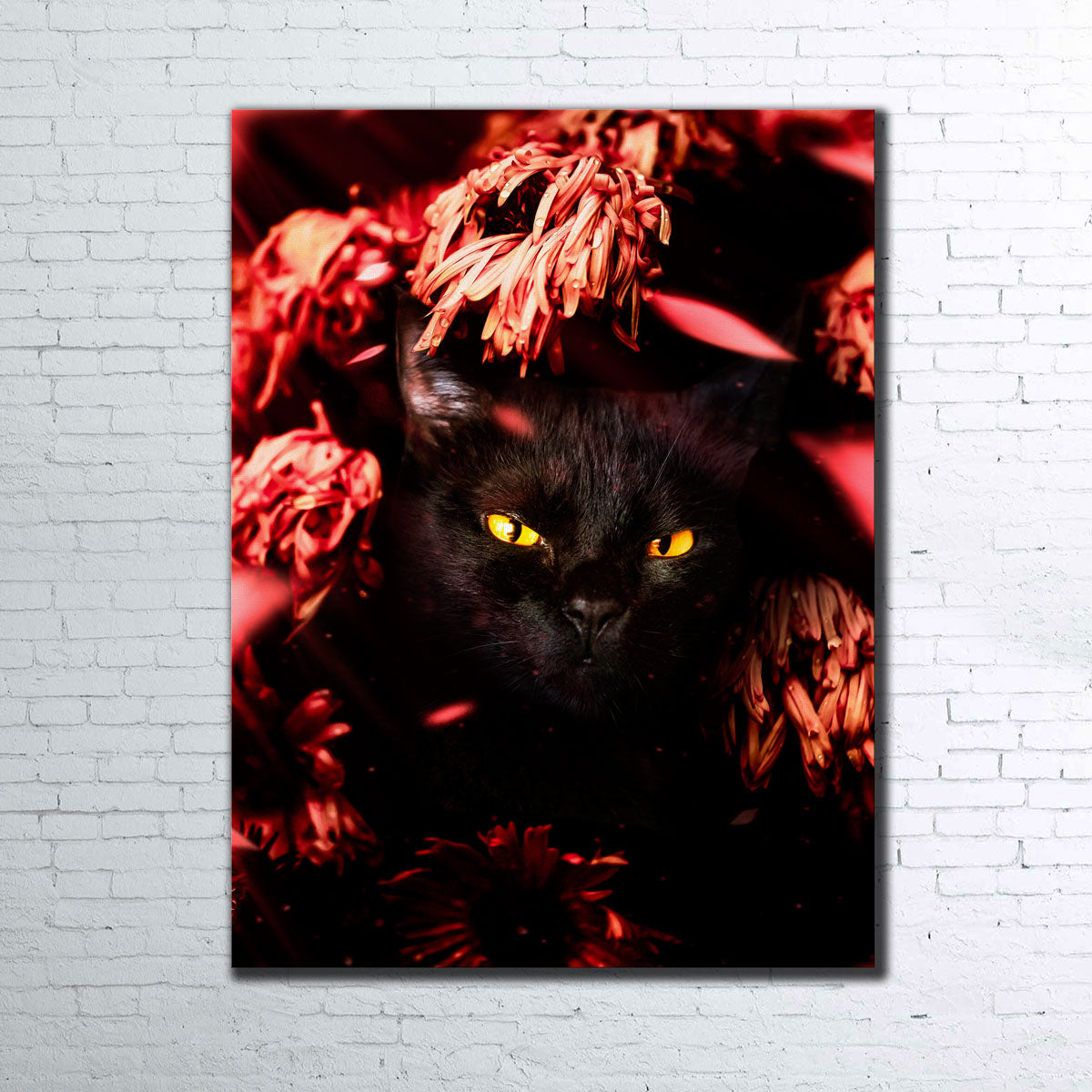 Cat Black Petals Wall Art