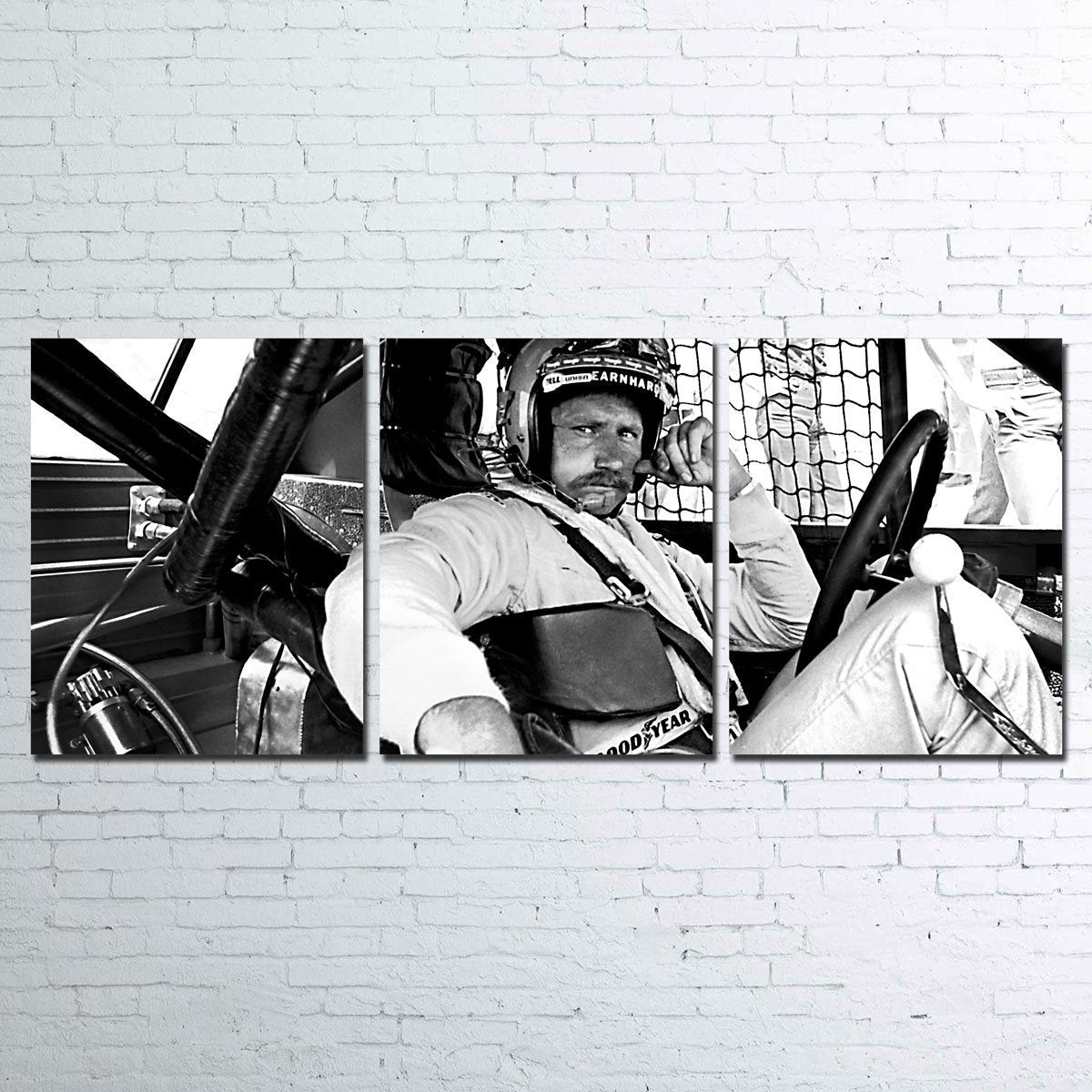 Dale Earnhardt Wall Art