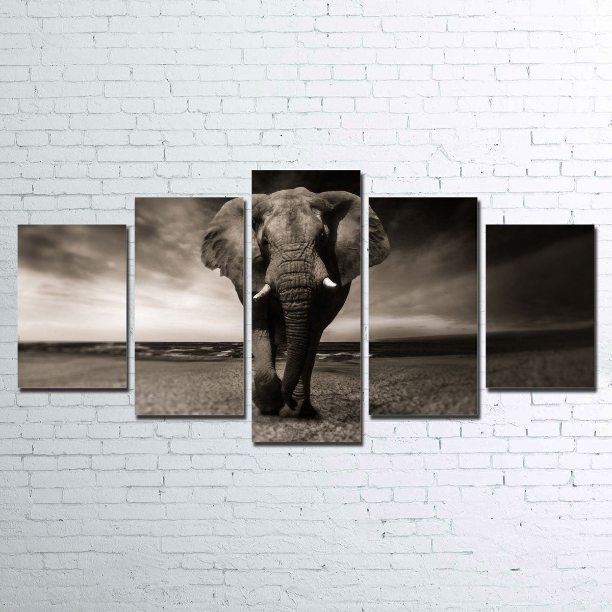 Elephant 5 Piece Canvas Set