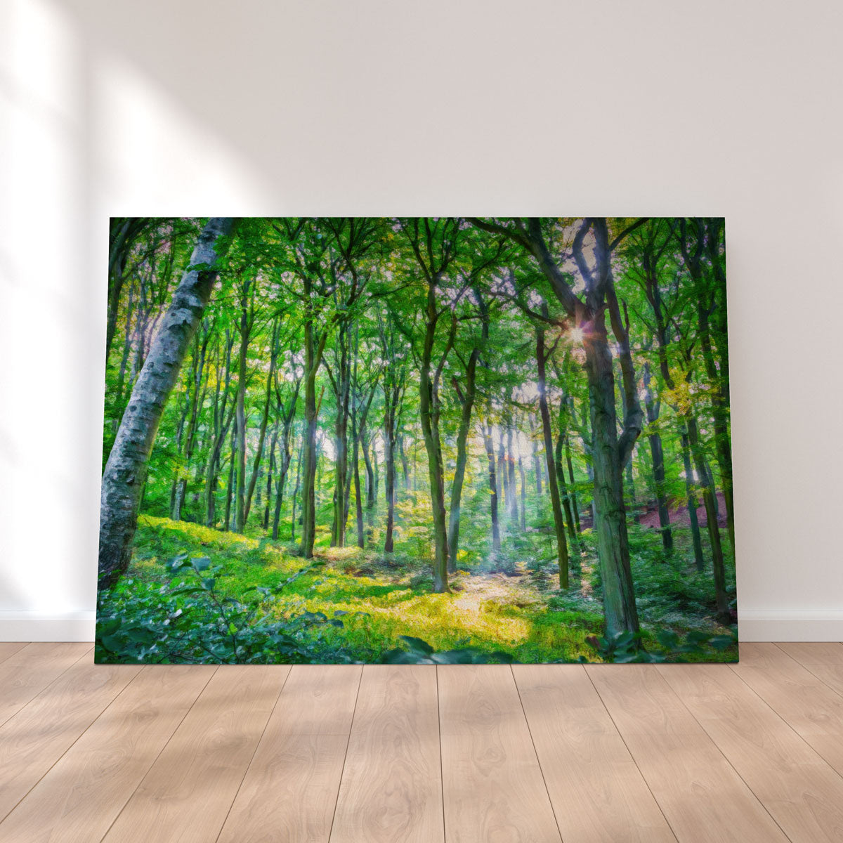 Emerald Forest Wall Art