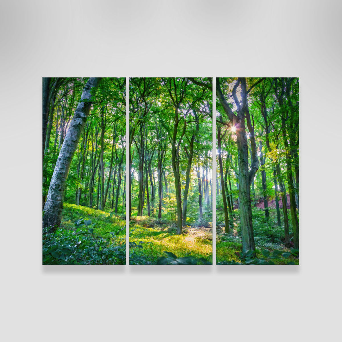 Emerald Forest Wall Art
