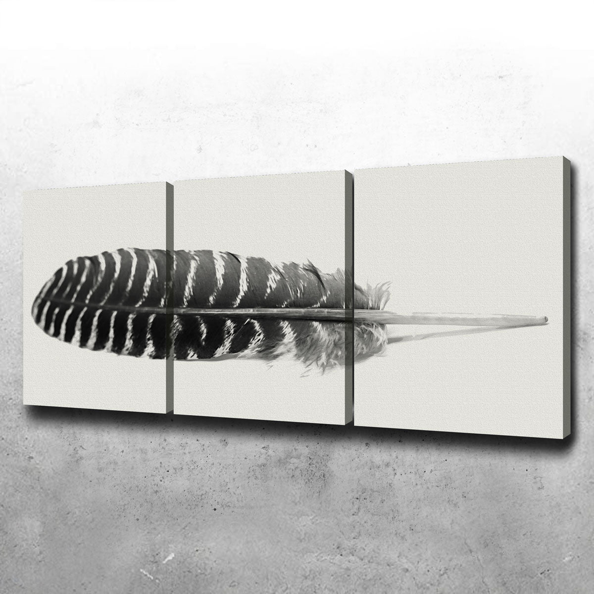 Falcon Feather 3 Piece Wall Art