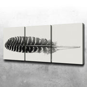 Falcon Feather 3 Piece Canvas Set