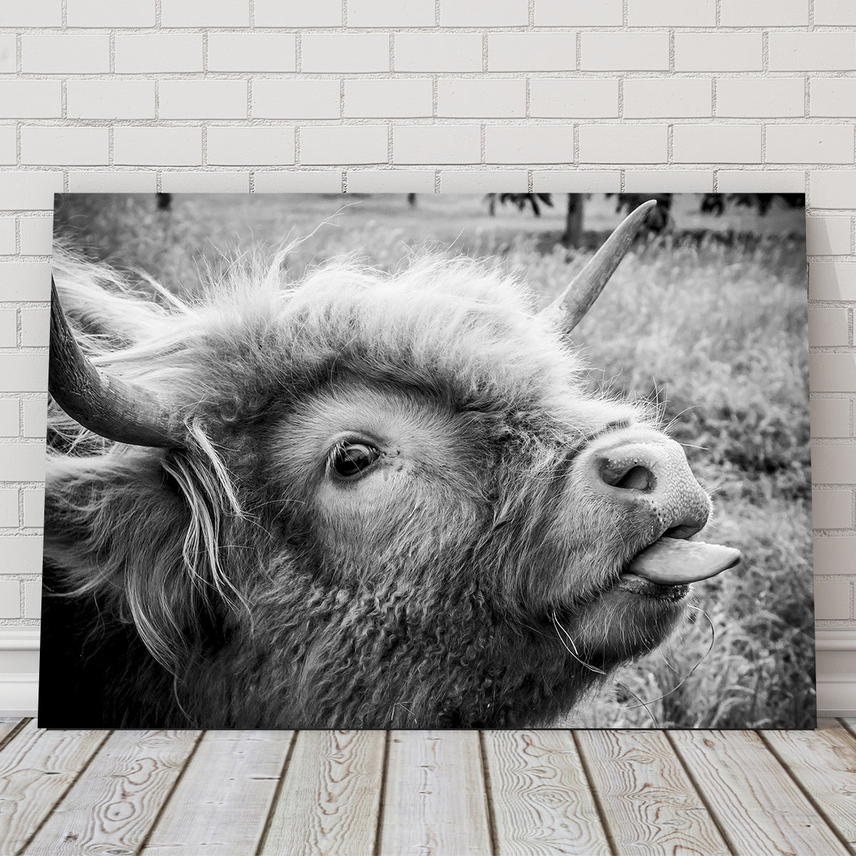 Funny Cow Wall Art