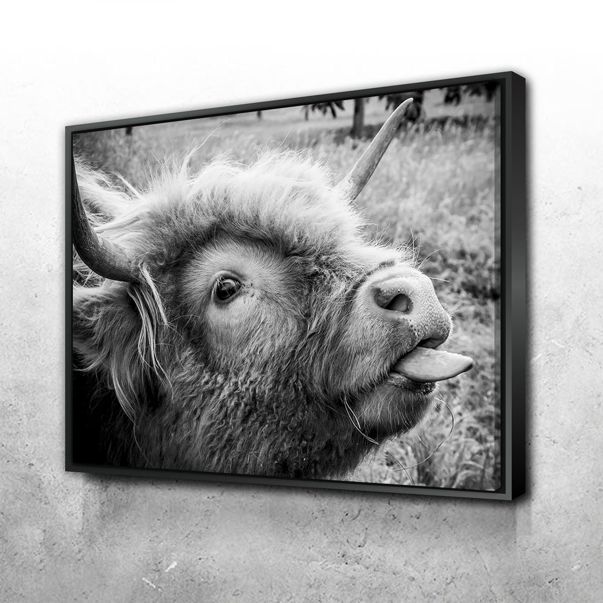 Funny Cow Wall Art