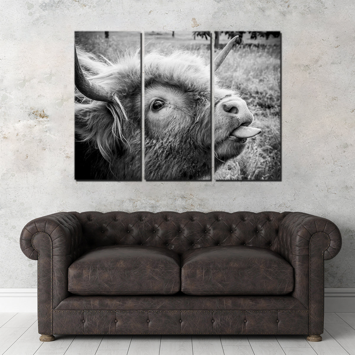 Funny Cow Wall Art