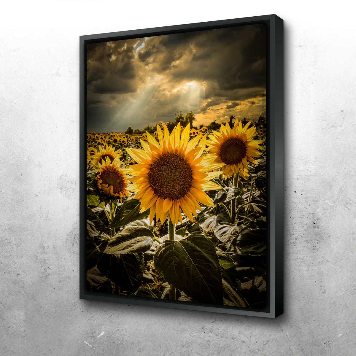 Girasoli Wall Art
