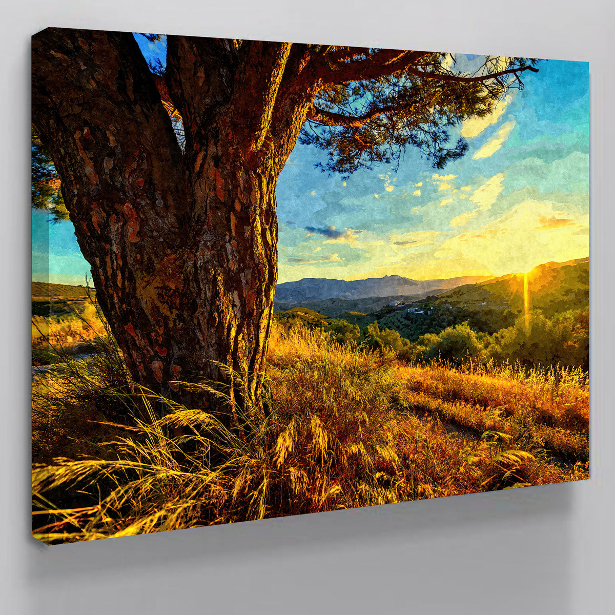 Gnarled Tree At Sunset- Wall Art