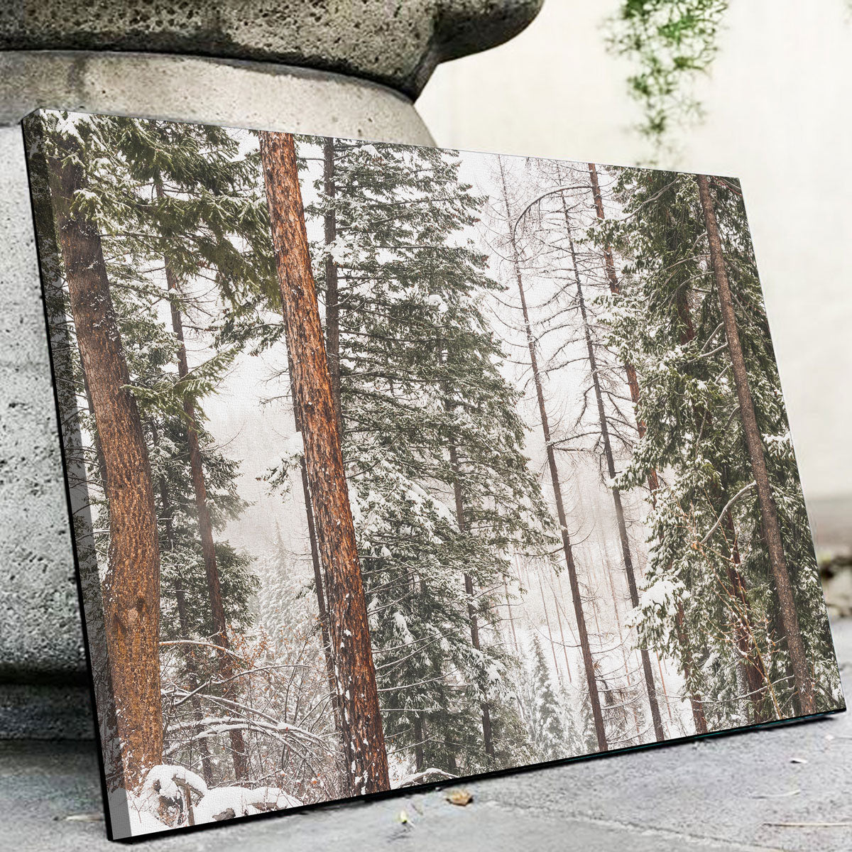 Snow in Lois Creek Wall Art