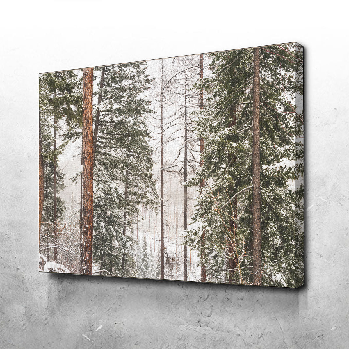 Snow in Lois Creek Wall Art