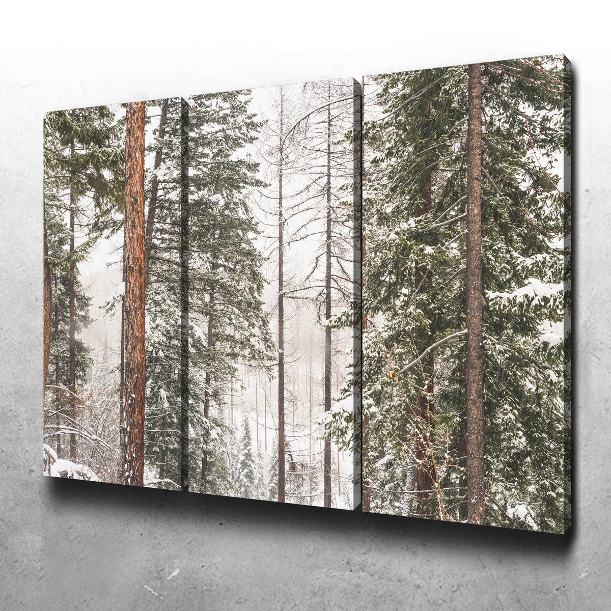 Snow in Lois Creek Wall Art