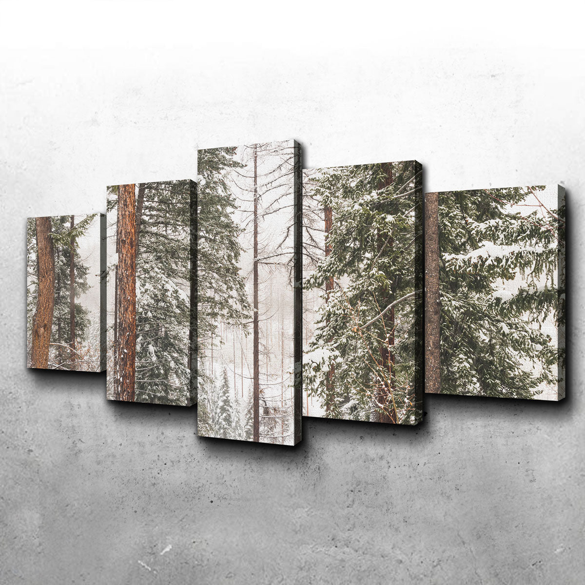 Snow in Lois Creek Wall Art