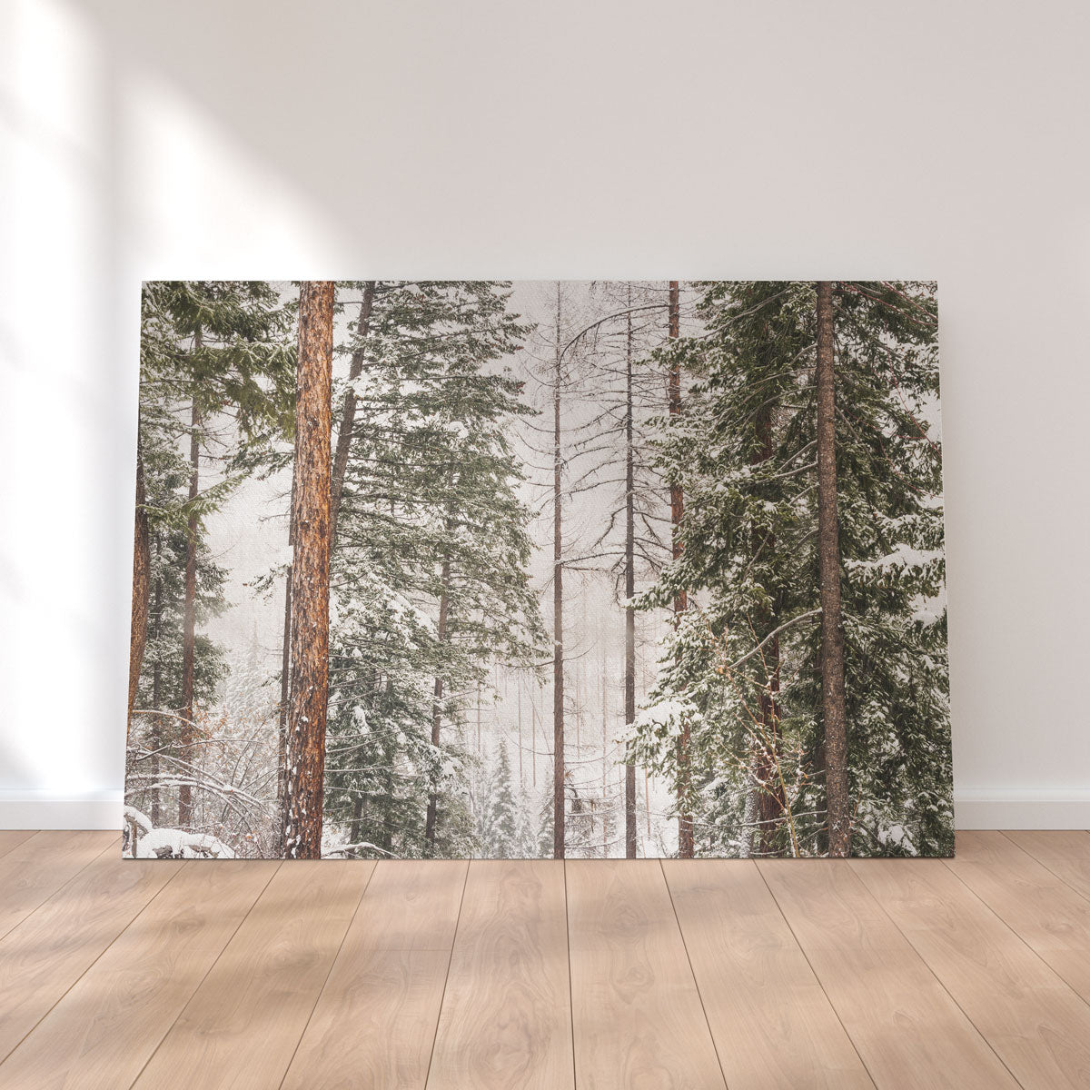 Snow in Lois Creek Wall Art