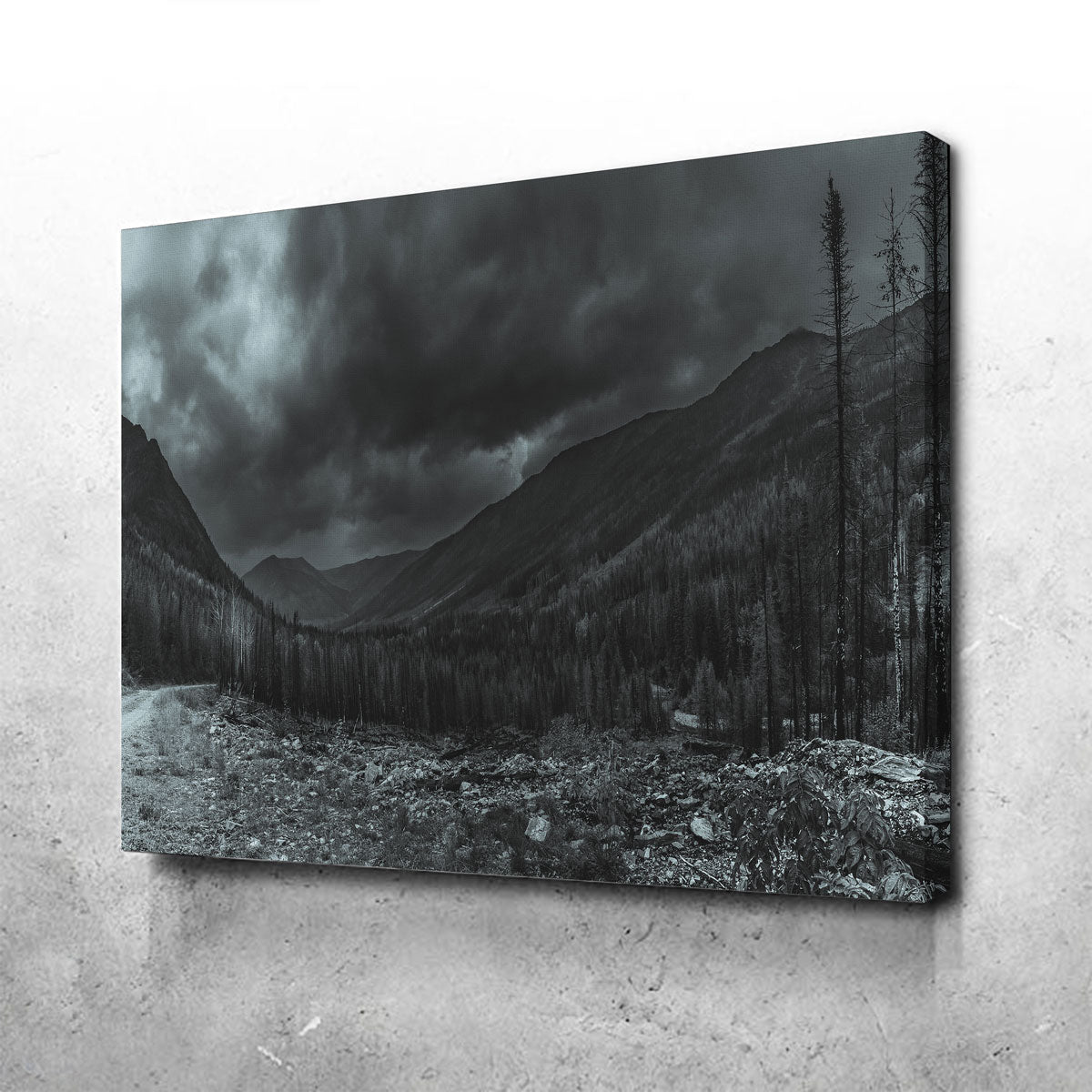 Stormy Skies Wall Art