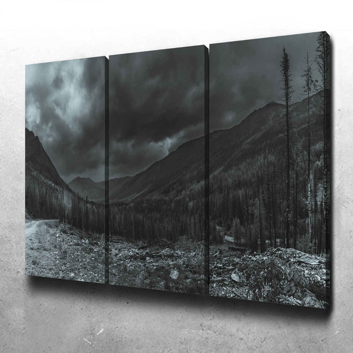 Stormy Skies Wall Art