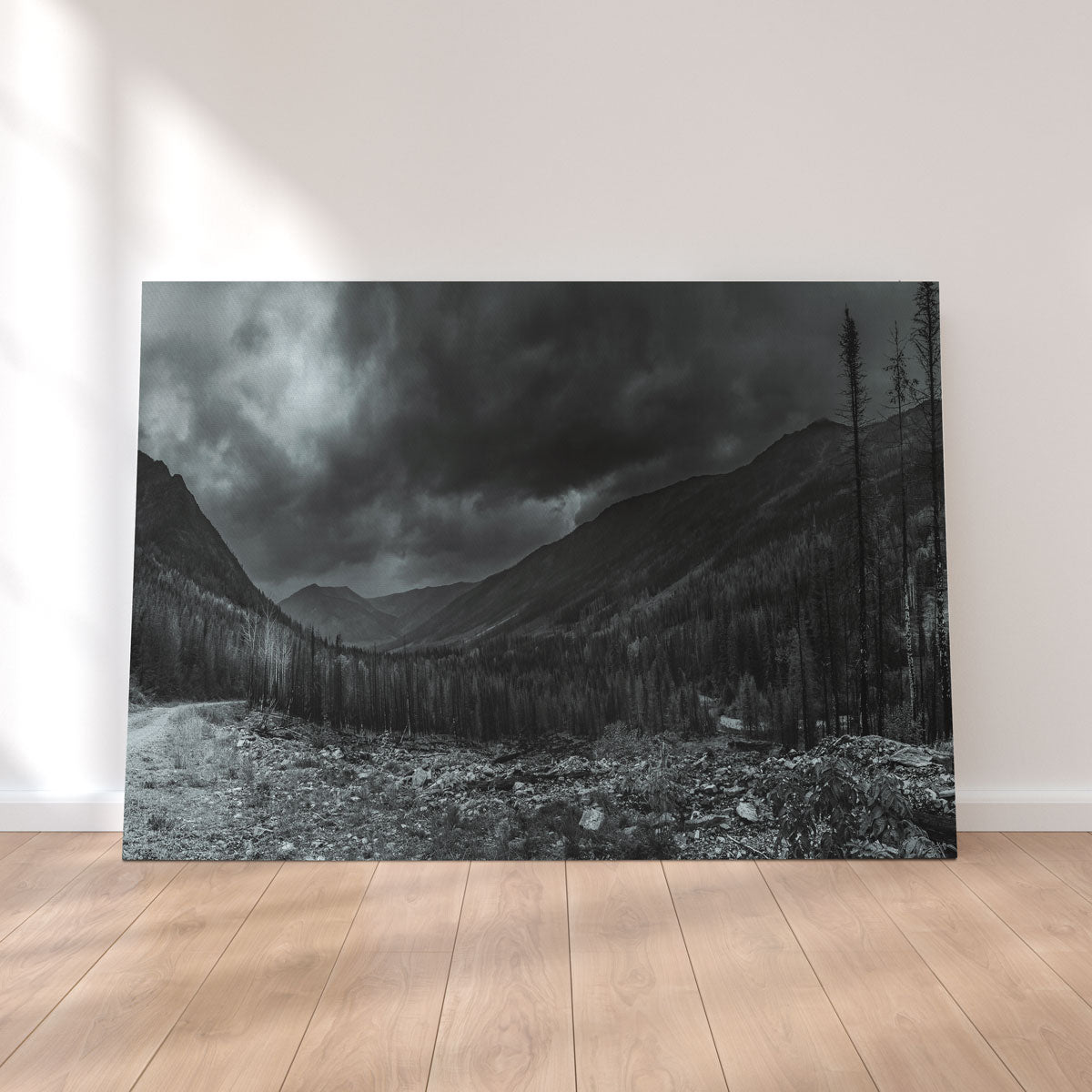Stormy Skies Wall Art