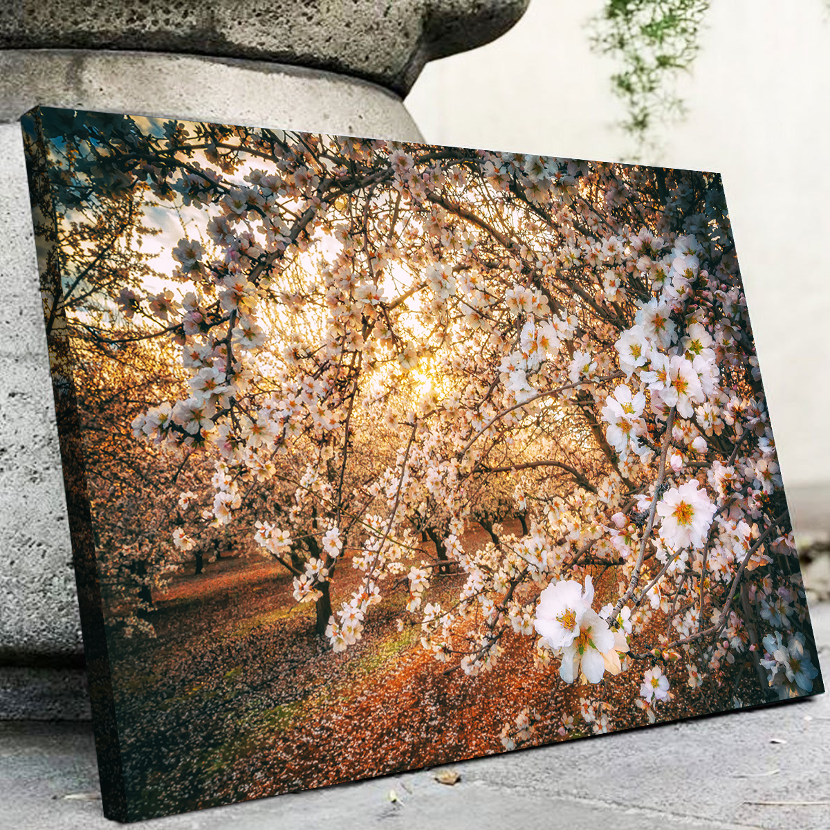 California Blossom Trail Wall Art