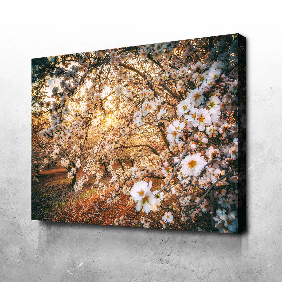California Blossom Trail Wall Art