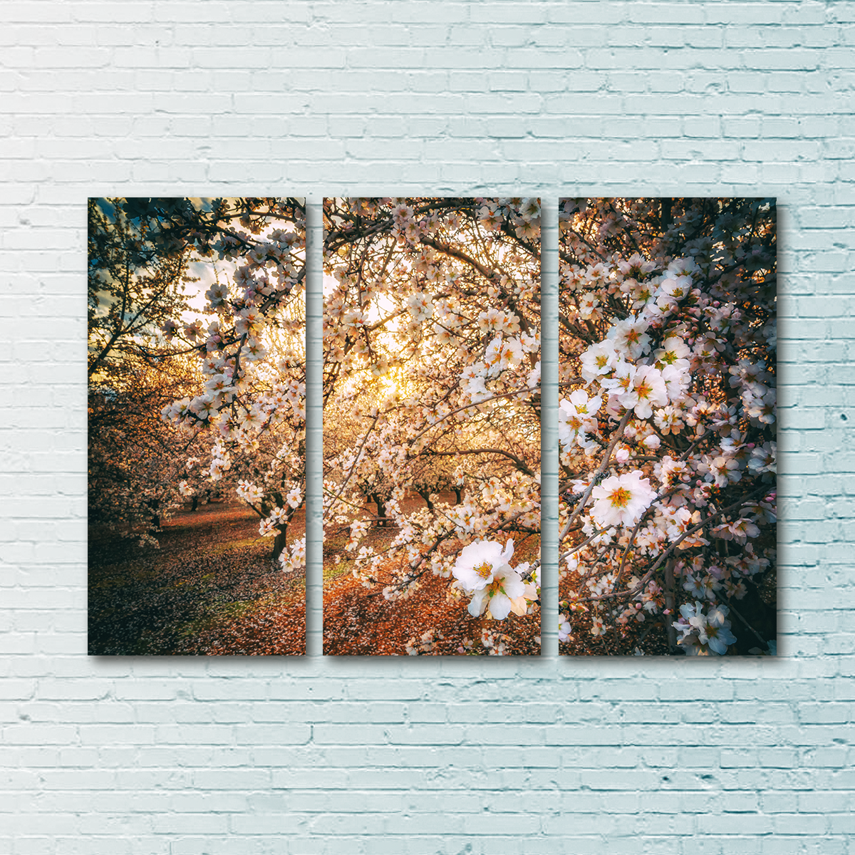 California Blossom Trail Wall Art