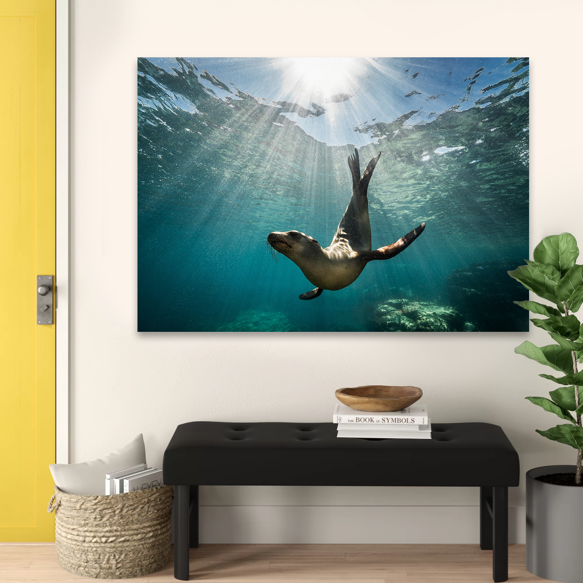 California Sea Lion Wall Art