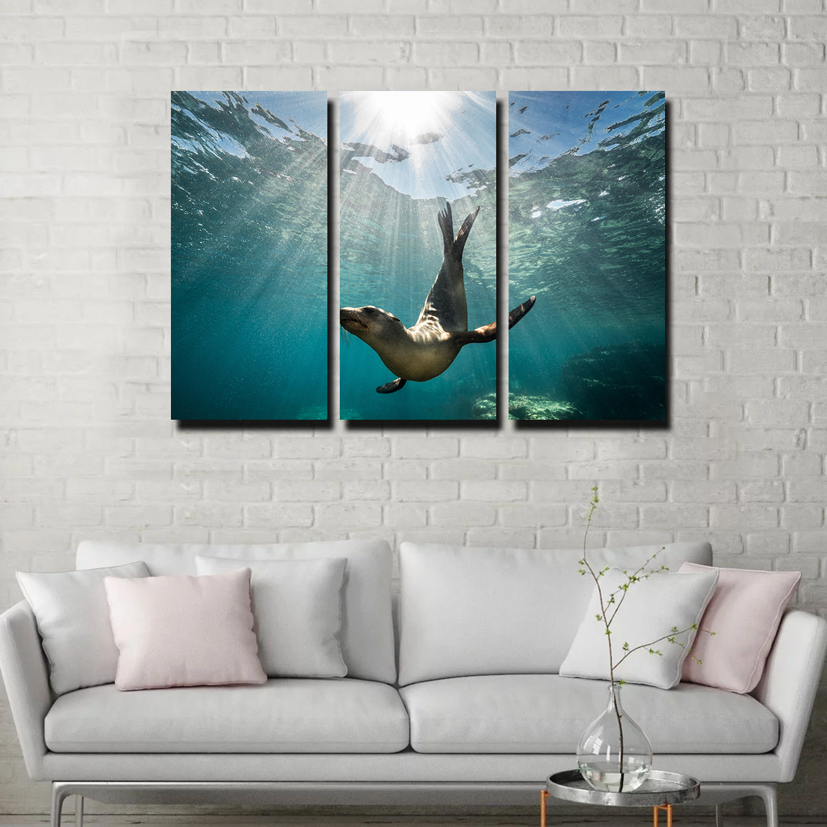 California Sea Lion Wall Art