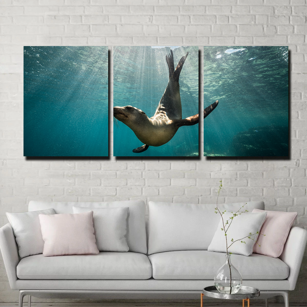 California Sea Lion Wall Art